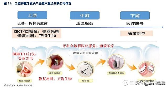 再生牙齿最新申报结果，前沿技术、观点争议与未来展望
