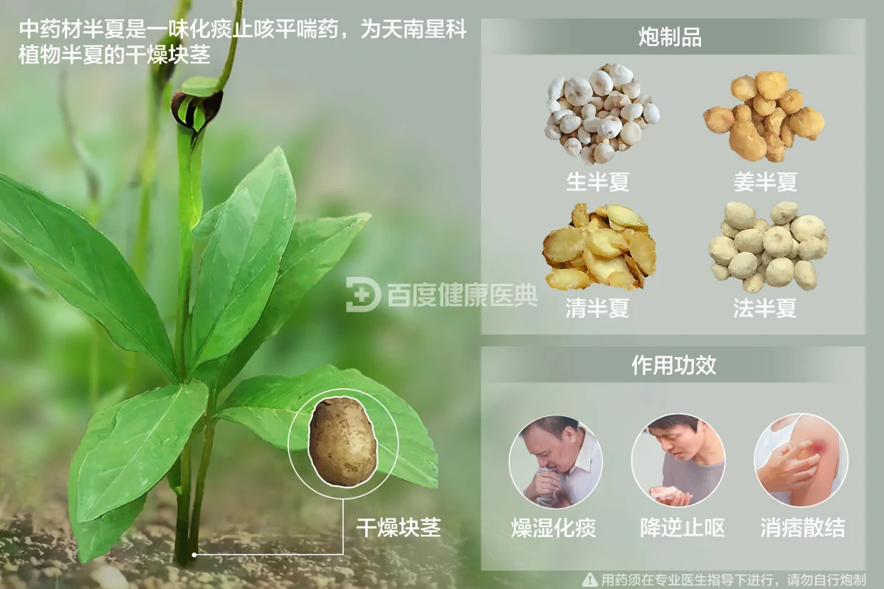 法半夏用量最新规定，变化中的自信与成长铸就辉煌之路