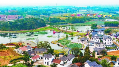 江宁谷里街道蓬勃发展新面貌揭晓，最新消息展现社区新面貌