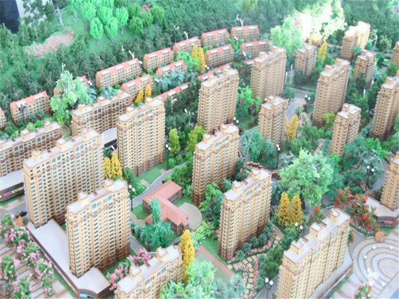 市场动态