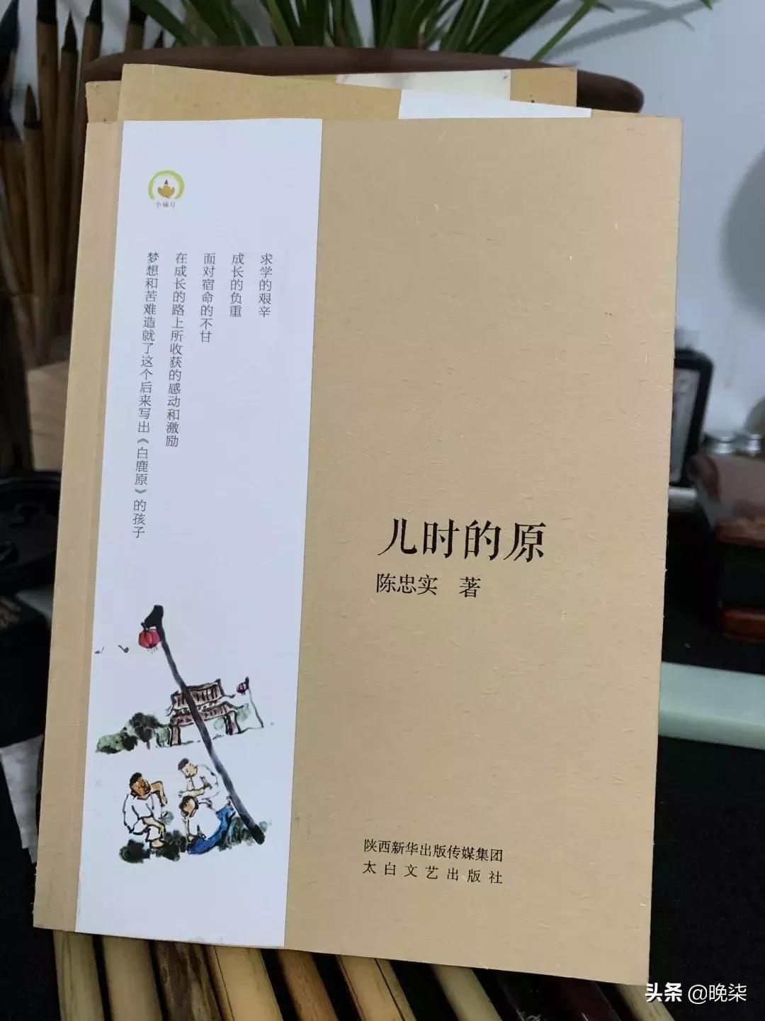 白鹿原电视剧最新评论概览