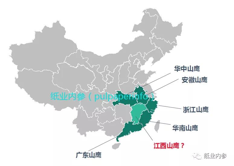 黄冈晨鸣纸业最新动态，获取与利用相关资讯的步骤指南