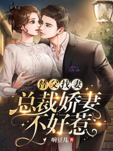 日常琐事中的温情纽带，爷我等你休妻最新章节介绍