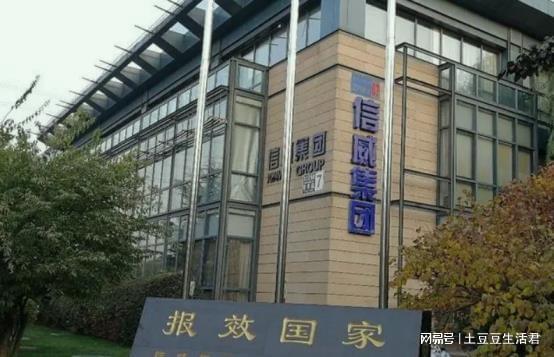 网易信威集团最新动态揭秘，小巷魅力小店的独特发现之旅