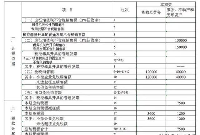 一般纳税人最新规定详解，解读要点、变化与影响分析