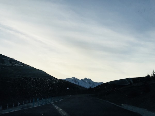 德展健康最新动态，心灵与自然的美妙之旅