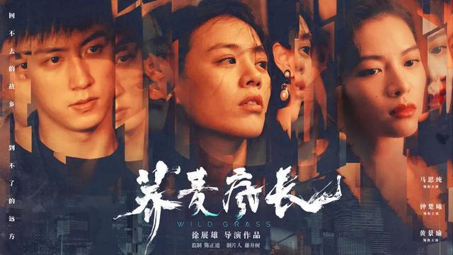 深圳出租车最新消息,深圳出租车最新消息，驶向未来的励志之旅