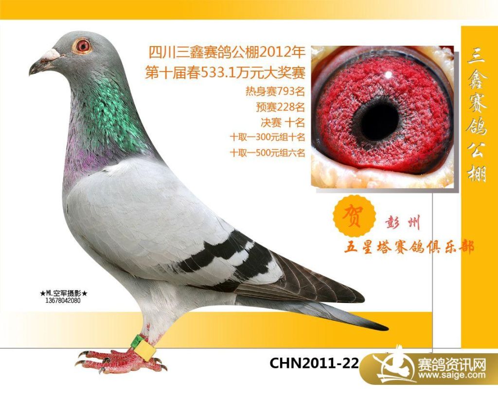 三鑫公棚科技重塑未来，最新消息与高科技产品体验新篇章