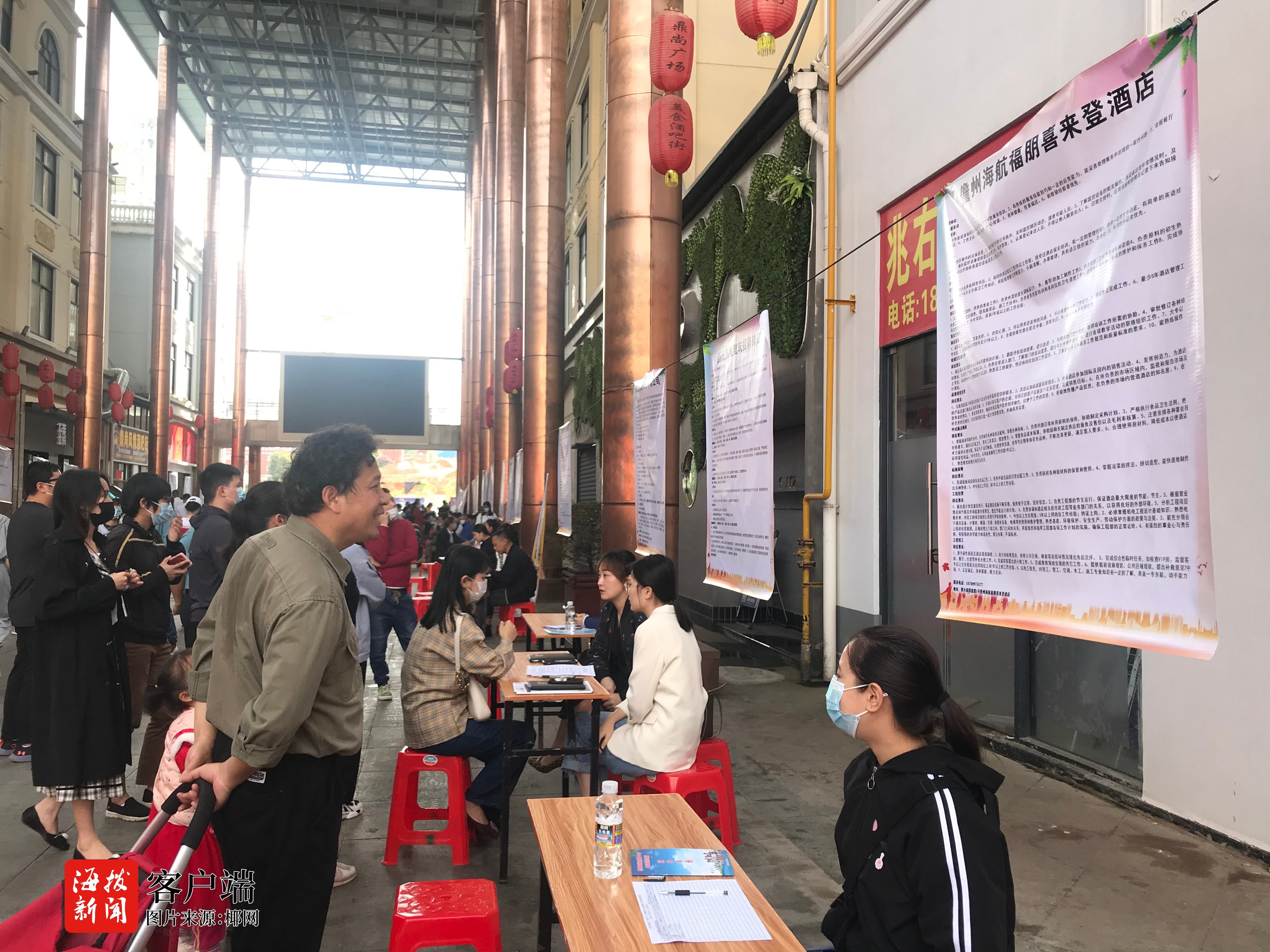 儋州人才网最新招聘信息深度解析与观点分享