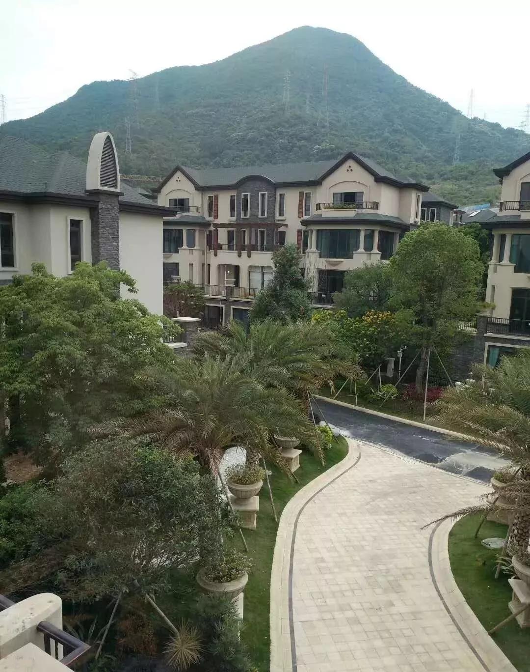 色中色最新地址大全及详细步骤指南