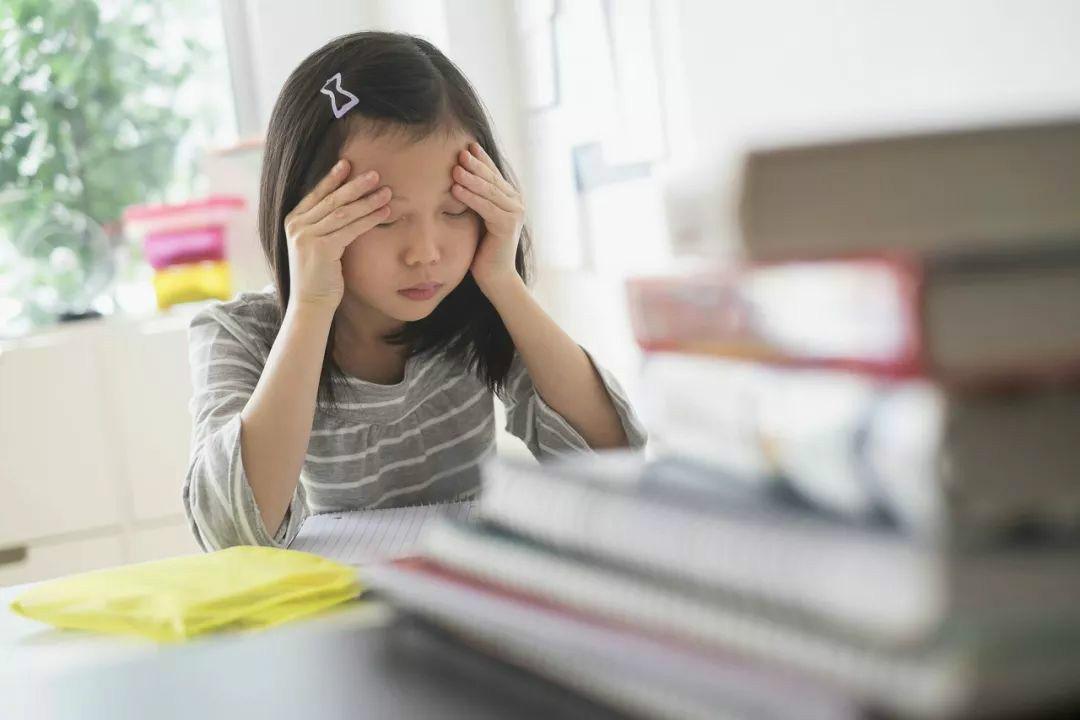 最新一集快乐大本营，学习之旅的变革与自信成就感的源泉