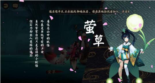 妖妖直播，探索自然美景，启程心灵之旅最新下载版本体验分享