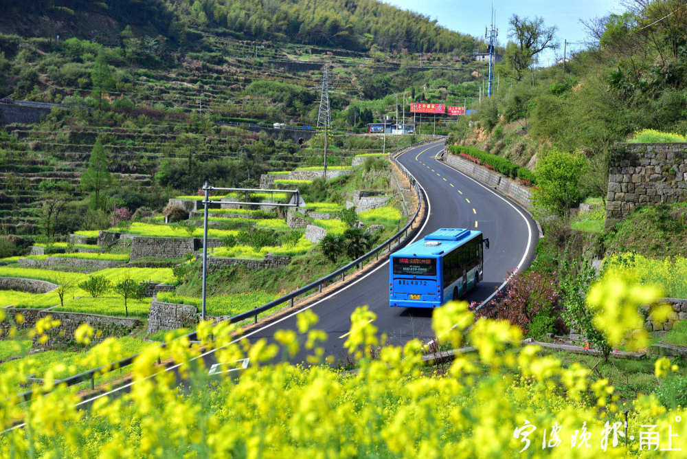 陆川动车最新消息,陆川动车最新消息，驶向自然美景的轻松之旅