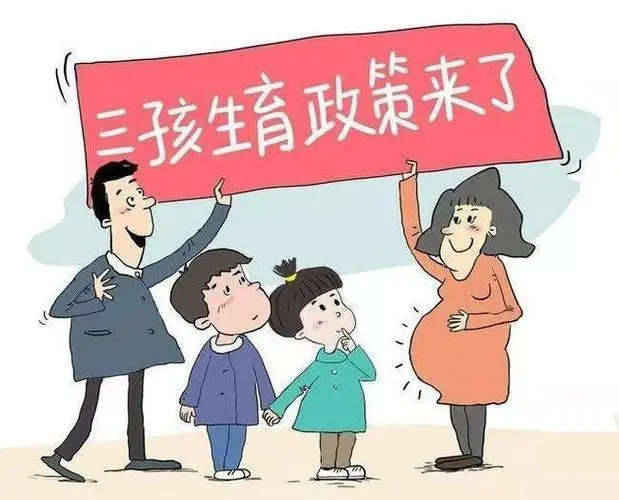 第236页