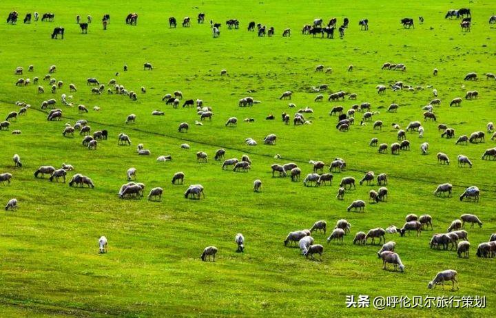 满洲里最新招聘信息，启程探索自然美景，寻找内心平和之旅