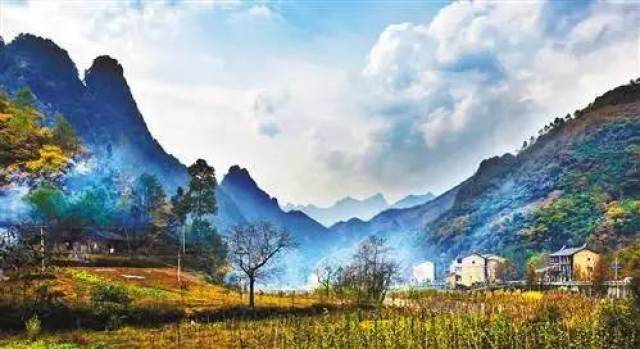 金瑞优羊奶粉最新事件，自然美景探险之旅揭秘