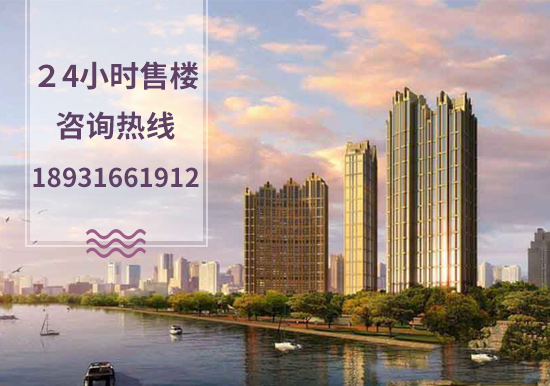 多维度视角观点分析
