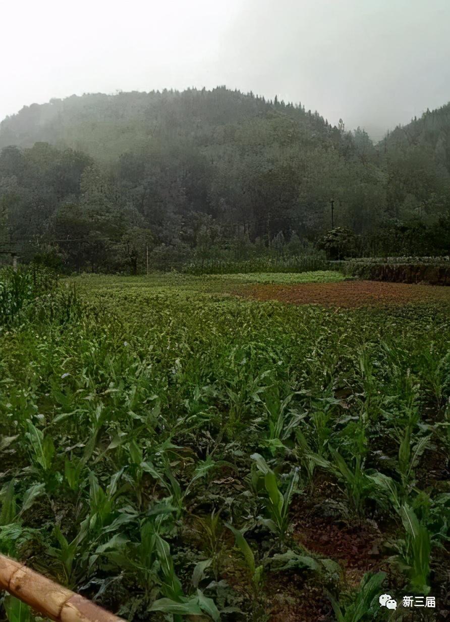 最新招工信息汇总