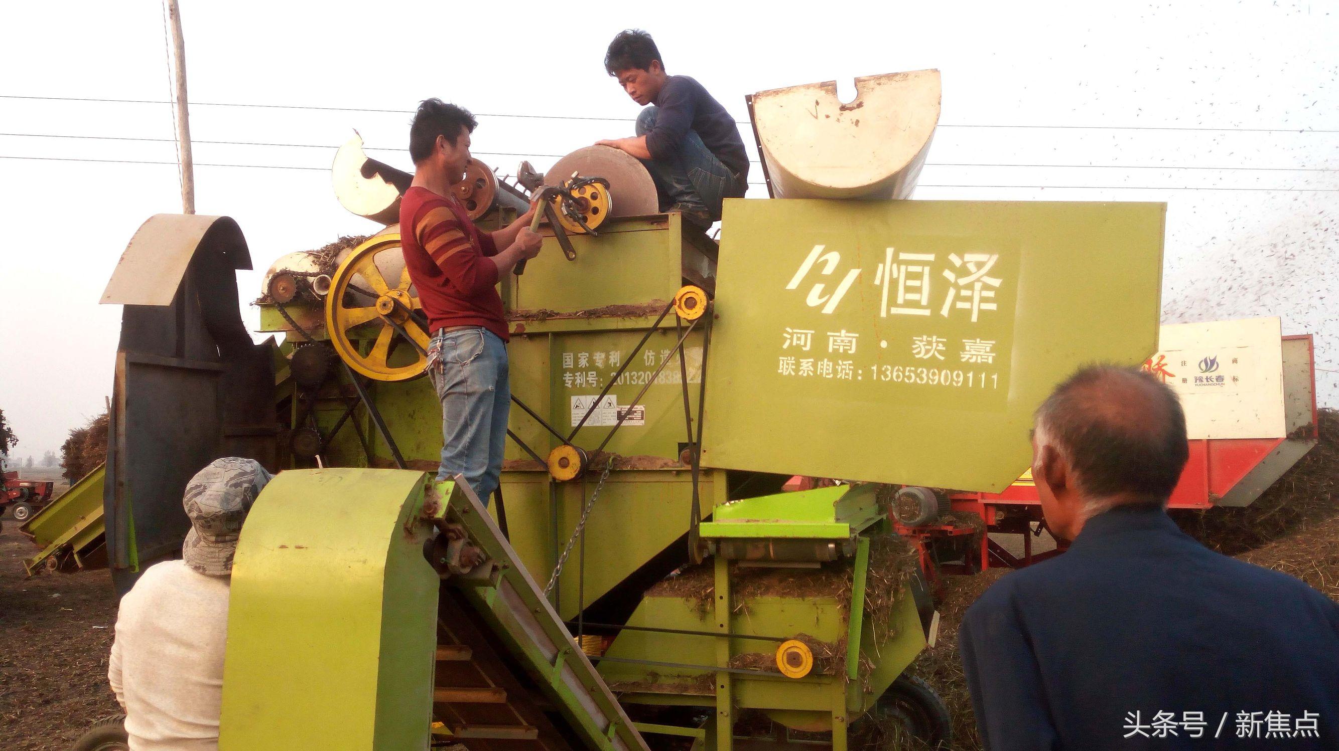 最新花生摘果机价格深度解析