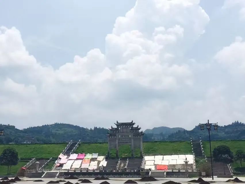 最新动态/消息更新