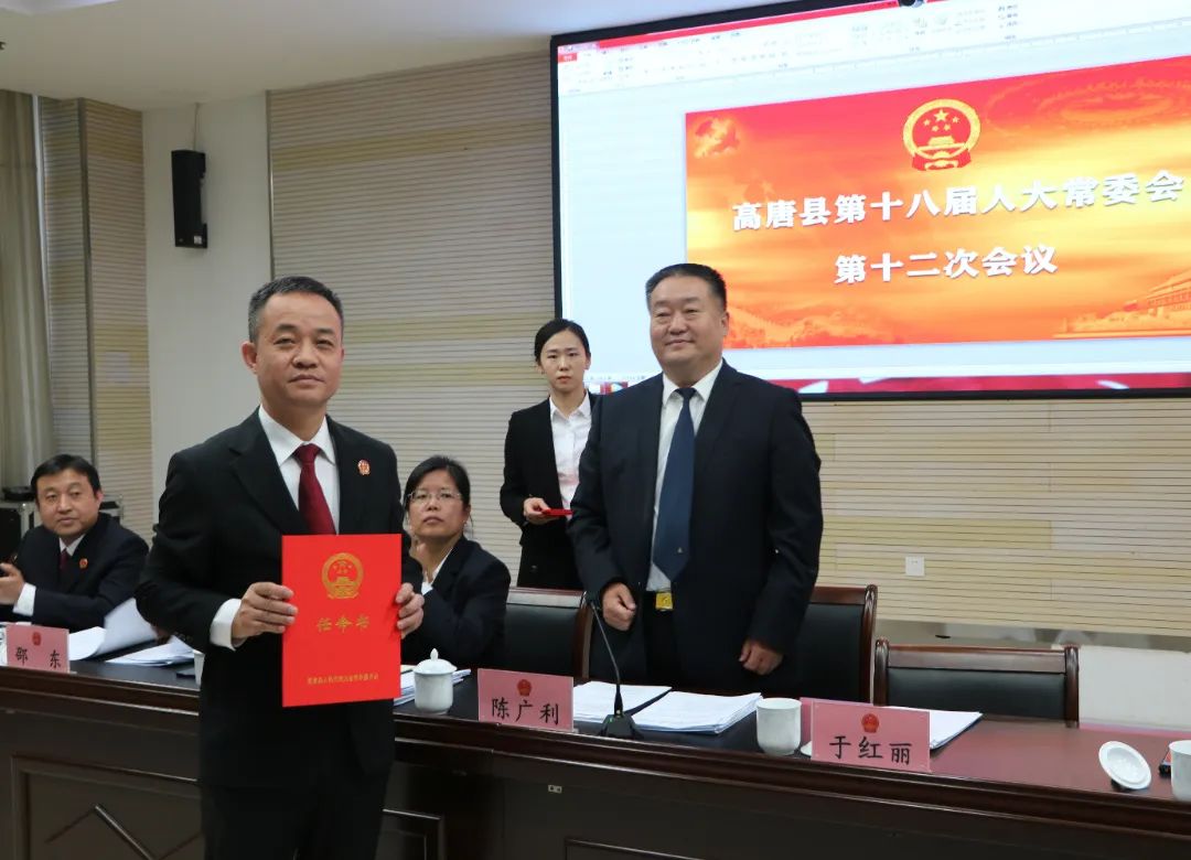 高唐县最新人事任免，小巷中的惊喜发现