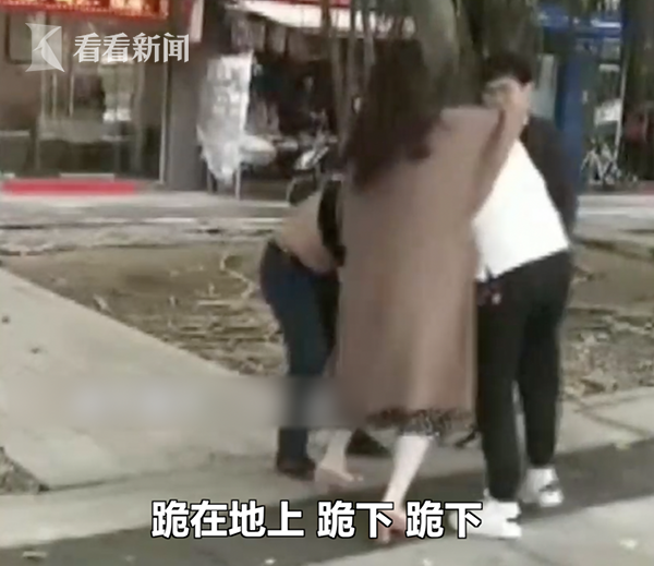 小拳头背后的深厚情感，最新两个宝宝打架视频观察