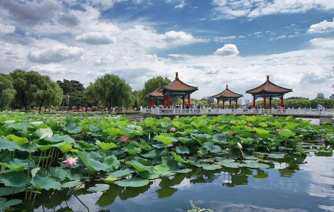 油田招聘网最新招聘，启程探索自然美景，寻找内心平静之旅