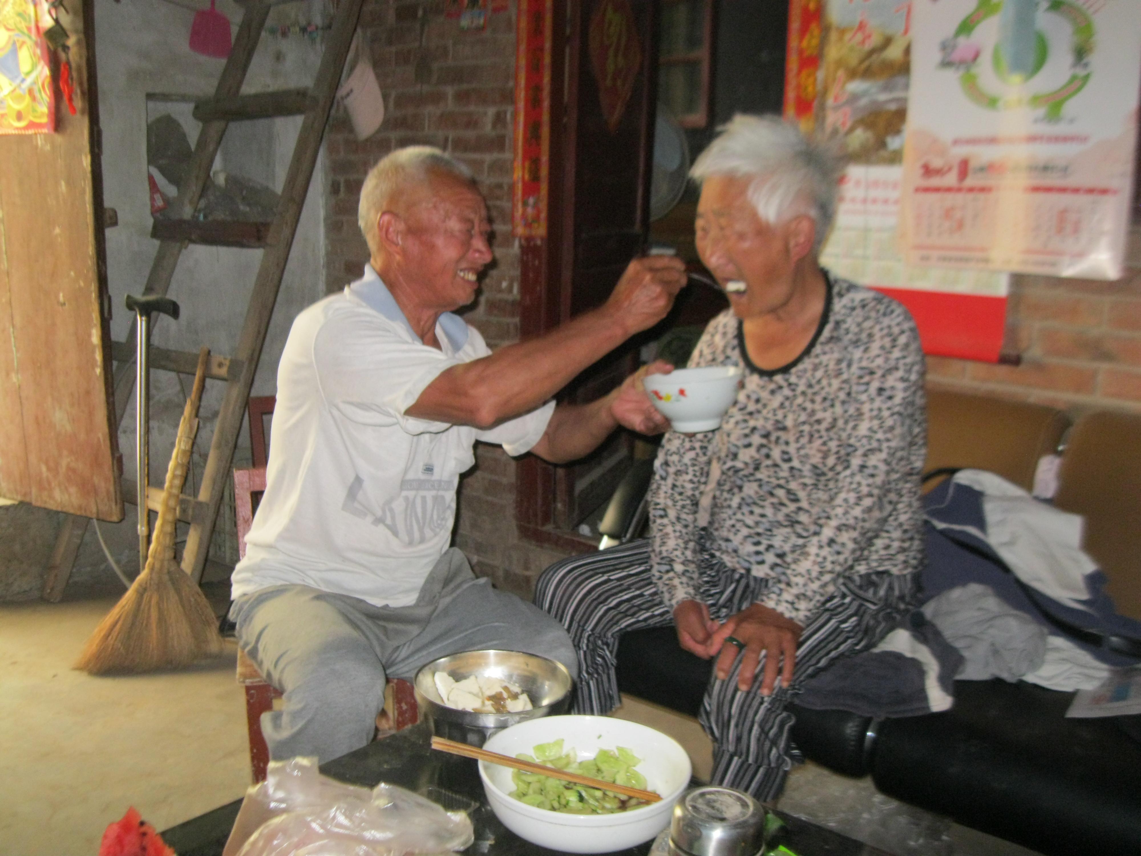 最新标准下载背后的温馨故事，爱与陪伴的力量
